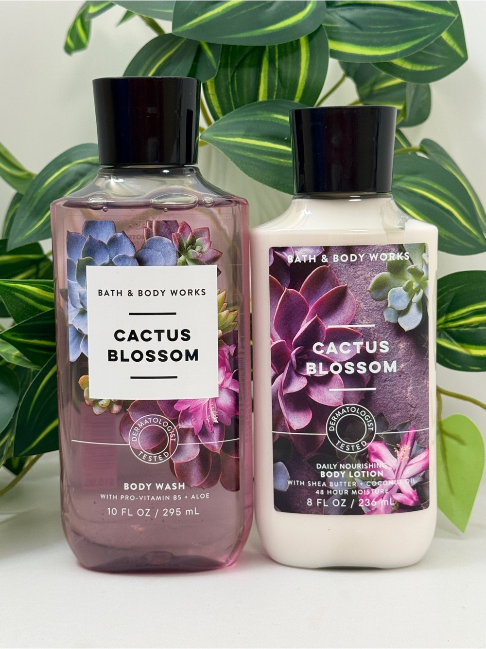 Bath & Body Works Cactus Blossom Body Wash and Lotion - New